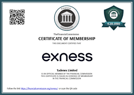 Comprehensive Guide to Exness MT4 Setup 6