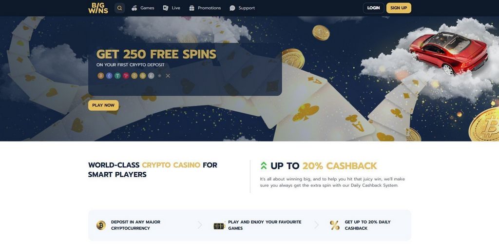 Bigwins Online Casino Evaluation: Complete Review in 2025